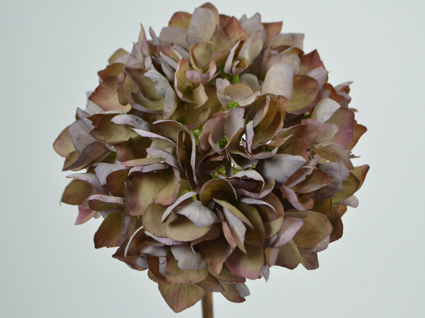 Deko Florale Grå-Mallow Hortensia 50cm