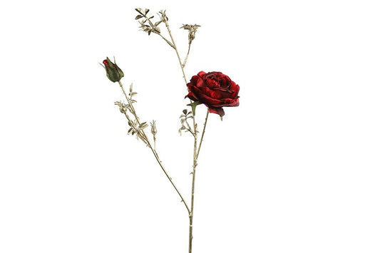 Barbara - Rose bordeaux m/guld