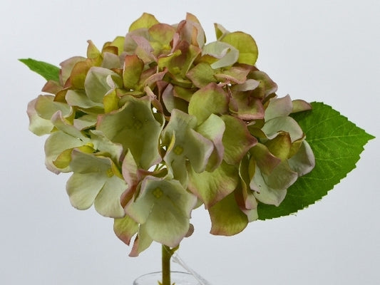 Deko Florale Grågrøn Hortensia 33cm