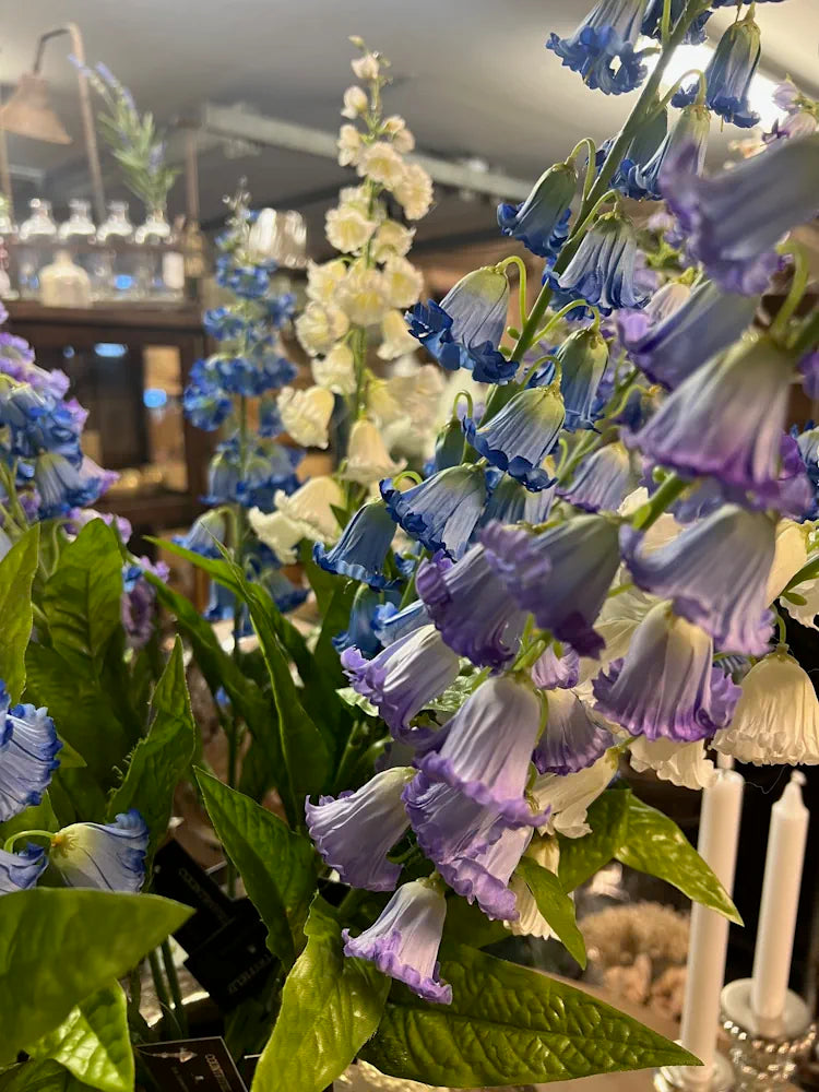 Barbara - Klokkeblomst Blå, Højde 96 cm