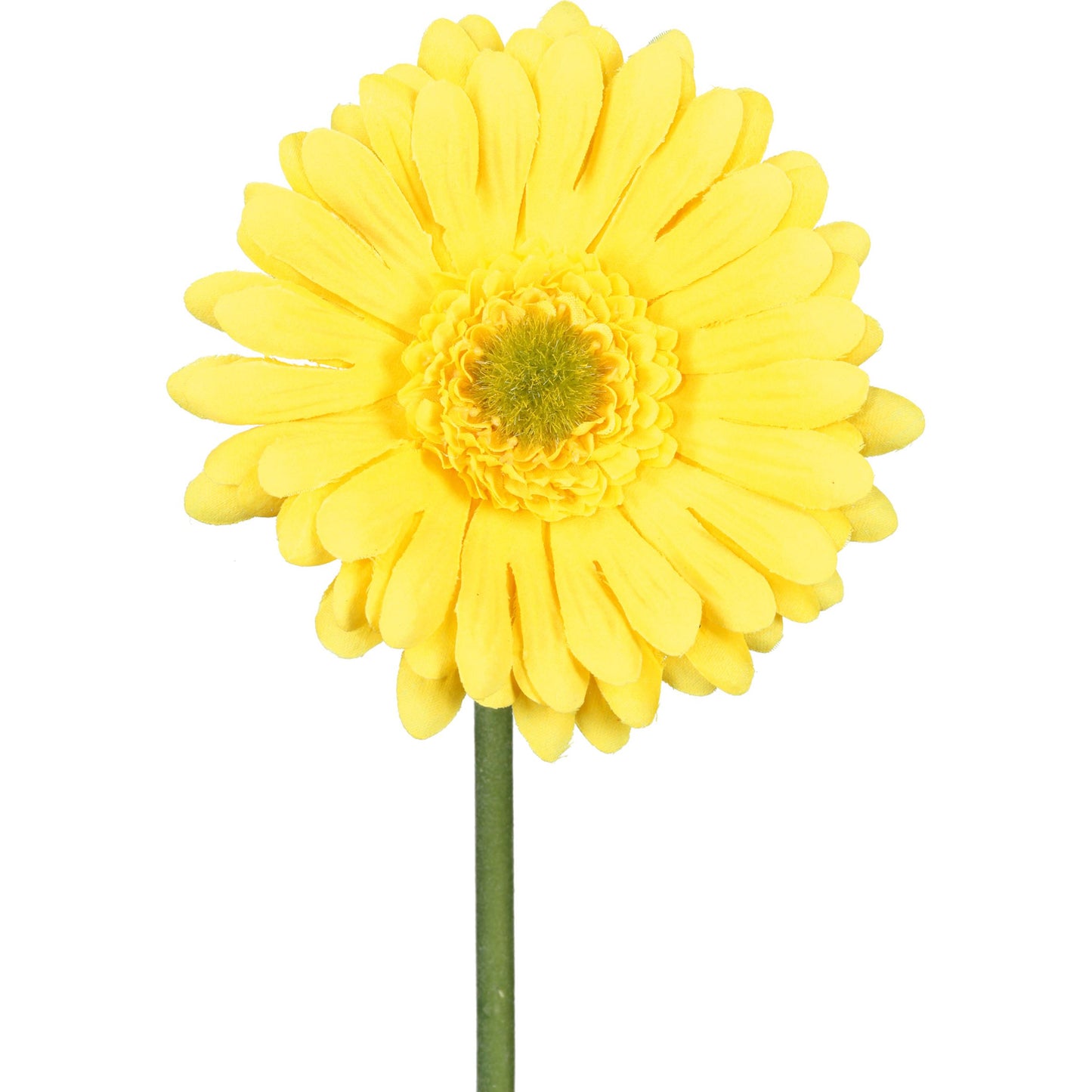 Barbara - Gerbera gul