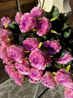 Barbara - Rose lilla