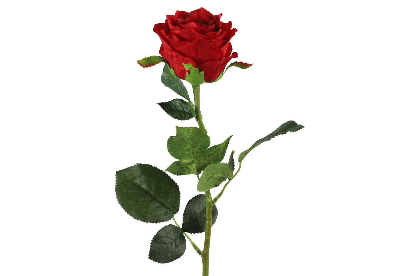 Barbara - Rose rød