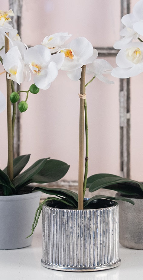 La Vida - Artificial Orchid, white in black plastic pot