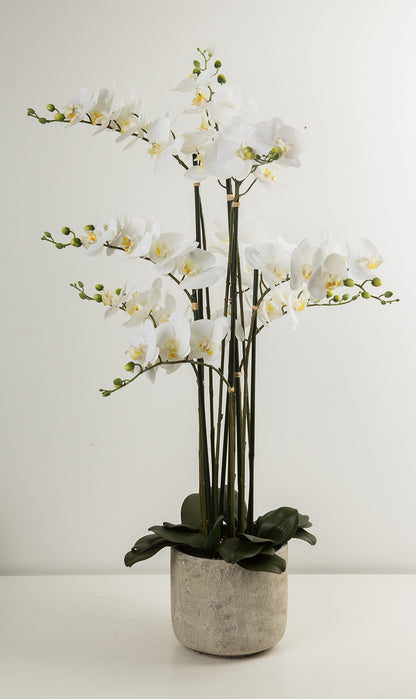 La Vida - Artificial Orchid 9-branch white - in gray ceramic pot