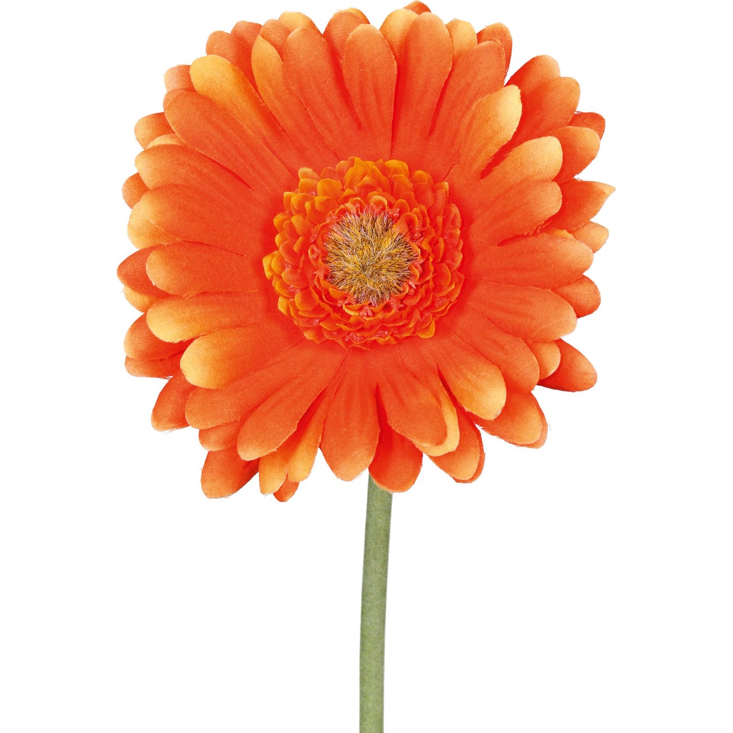 Barbara - Gerbera orange