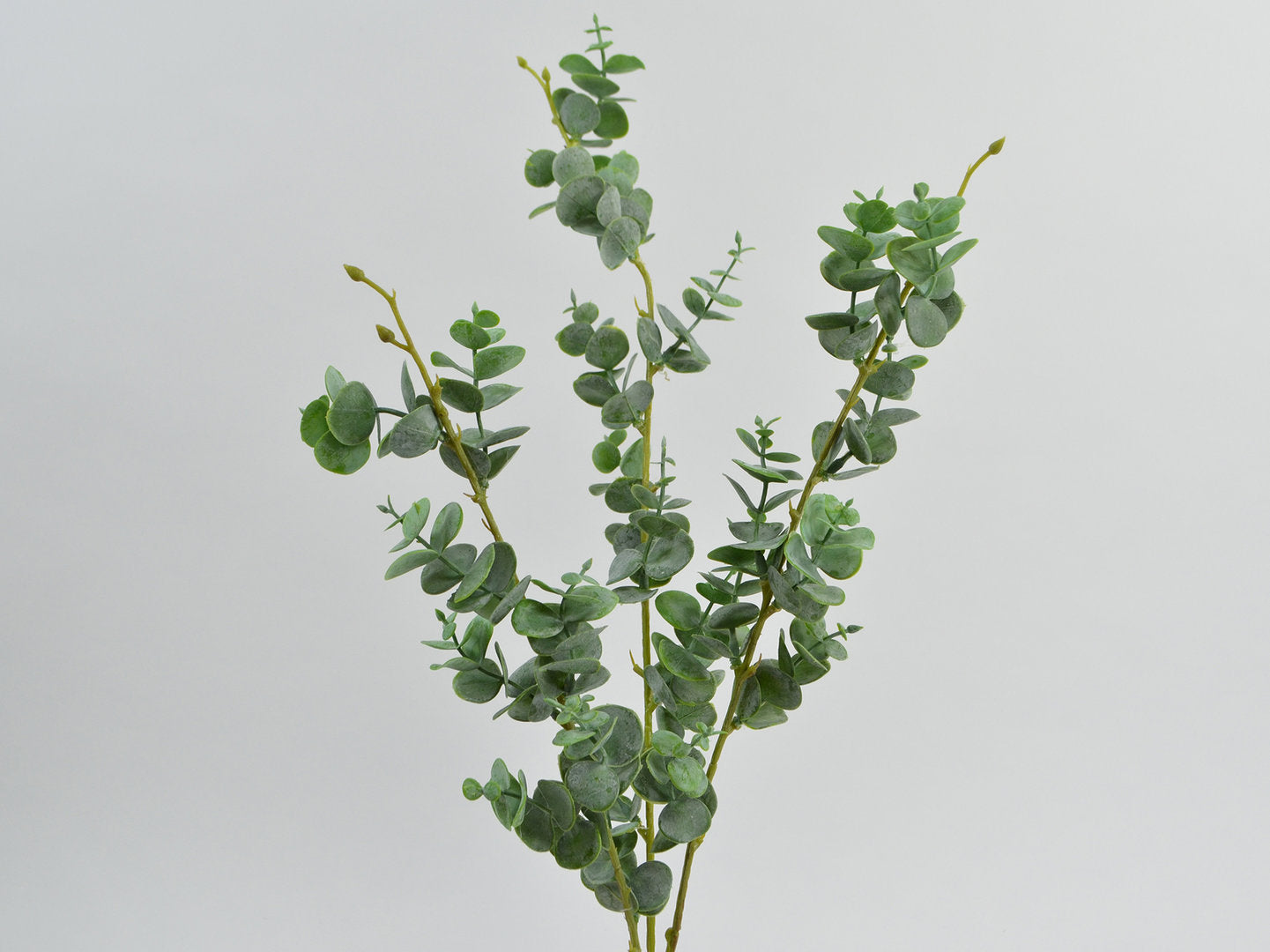 Decorative Floral - Eucalyptus branch x3, 53cm, grey-green