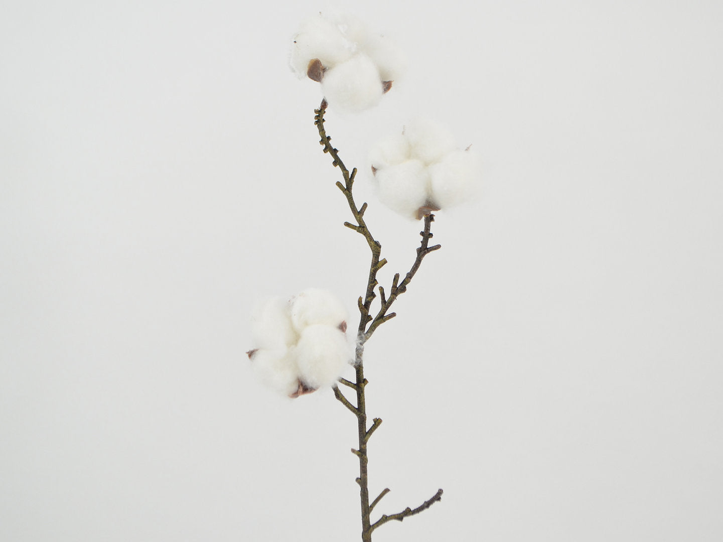 Decorative Floral - Cotton branch 3 branches