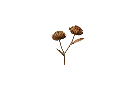 Speedtsberg Metal Flower, 11x5x14cm - Colour: Antique Rust