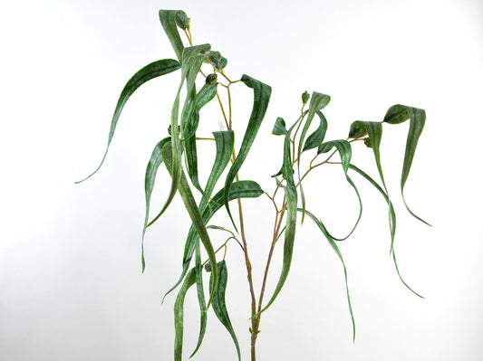Deko Florale - Eucalyptus kvist kurvet x2, 115cm, naturlig