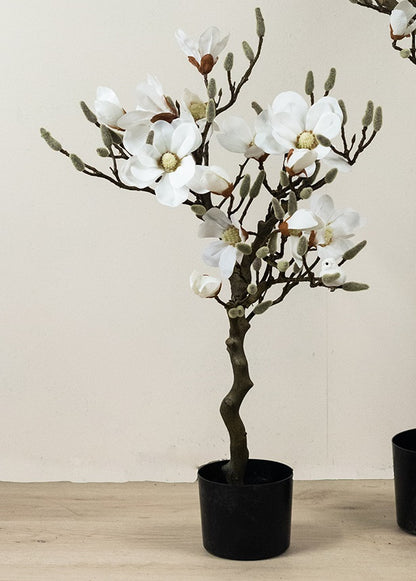La Vida - Artificial Magnolia tree, white, small in black plastic pot