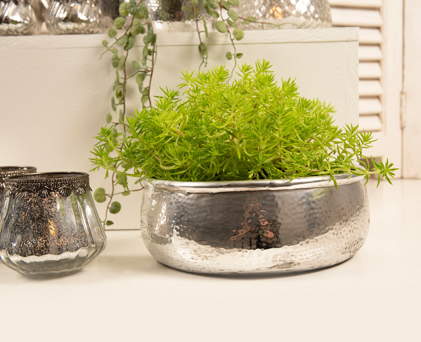 La Vida - Large silver bowl for plants