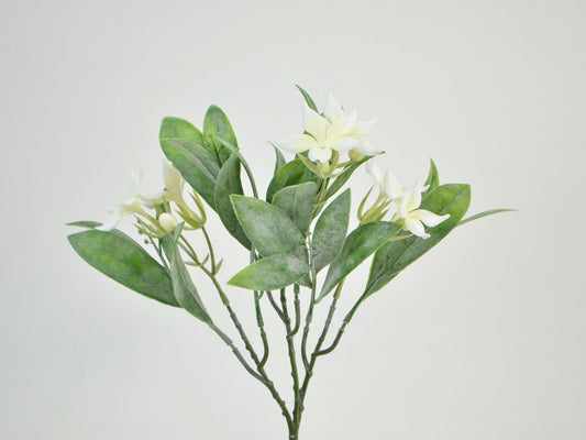 Deko Florale - Jasmin blomst, 25 cm 3 stilke, creame