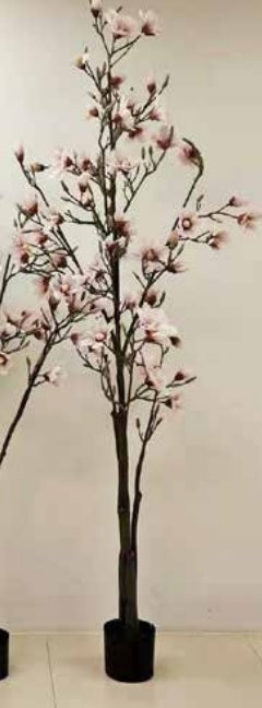 La Vida - Kunstigt magnolia træ, hvid, i sort plastpotte 230cm