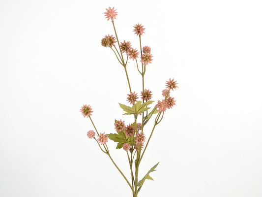 Deko Florale - Sanicula gren x6, 24 blomster, 68cm, pink