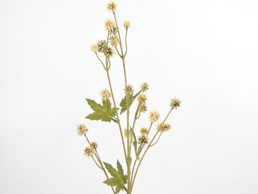 Deko Florale - Sanicula gren x6, 24 blomster, 68cm, brun