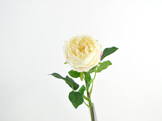 Decorative Floral Cabbage Rose with Real Touch 59cm in Cream