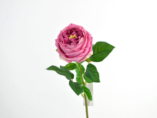 Deko Florale - Cabagerose real touch, 59cm, fuchsia