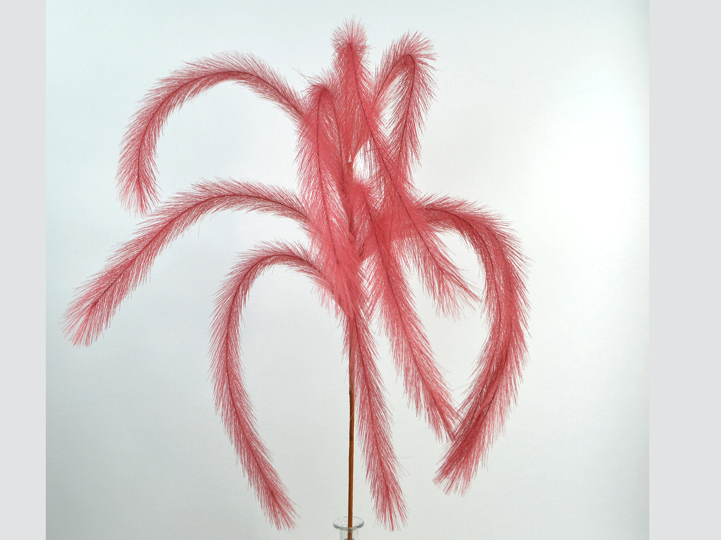 Deko Florale - Pampas græs gren, 139cm, pink