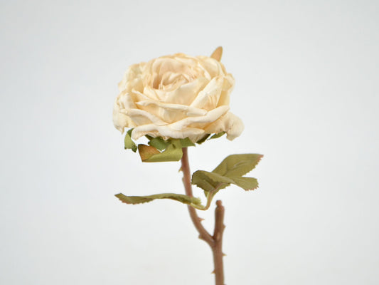 Decorative Floral Rose Branch, 26 cm, Cream - Artificial Decoration
