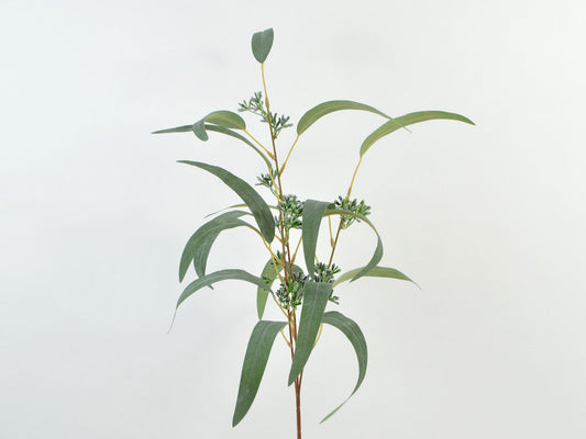 Deko Florale - Eukalyptusgren, grøn
