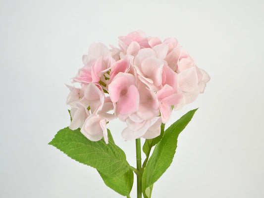 Deko Florale - Hortensia, 1 blomst, 2 blade, 46cm, lyserød