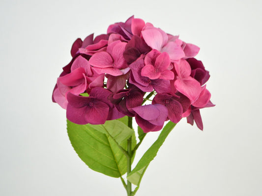 Deko Florale - Hortensia, 1 blomst, 2 blade, 46cm, fuchsia-lyserød