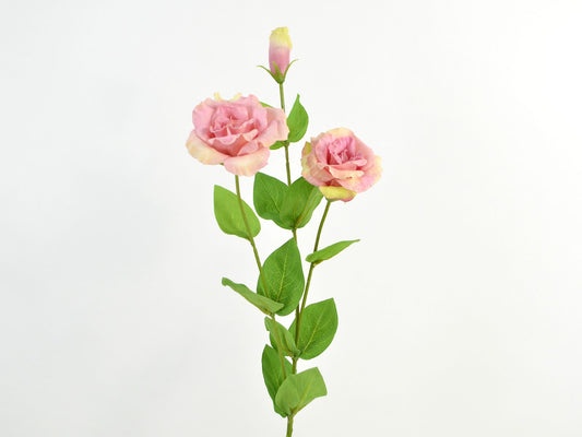 Deko Florale - Lisianthus real touch, 71cm, lyserød/grøn