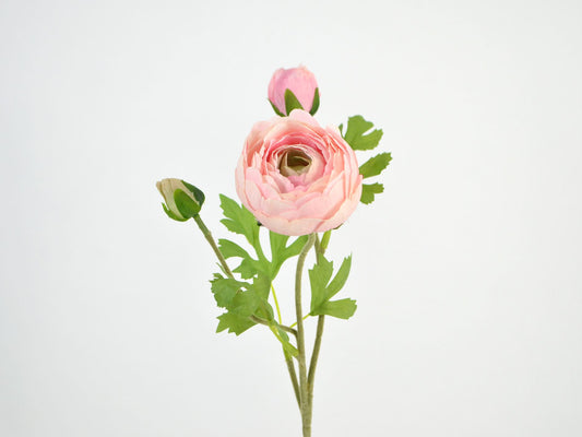 Deko Florale - Ranunkel gren x 3, 50cm, lyserød