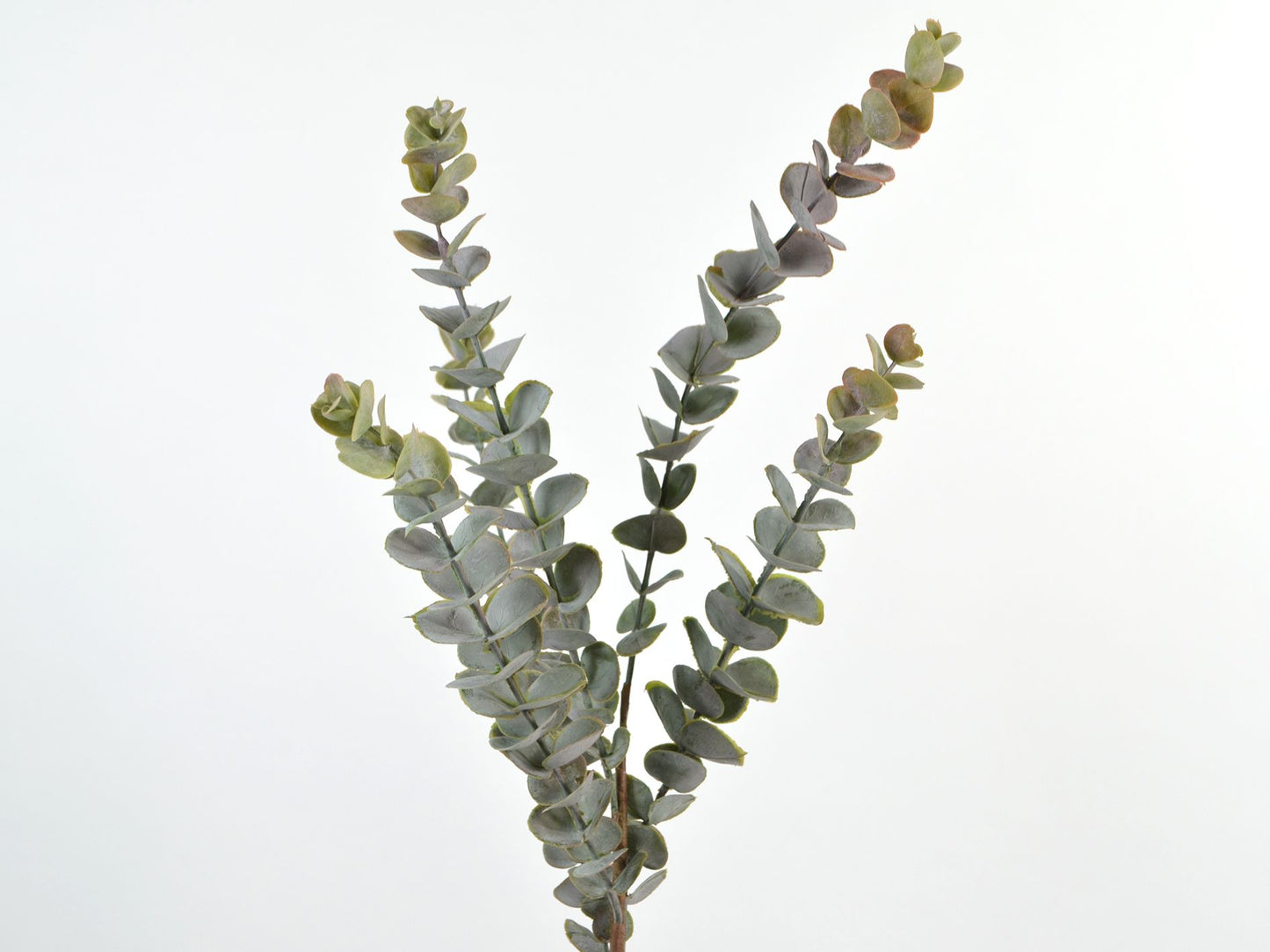 Decorative Floral Eucalyptus Branch, Purple, H76 cm - Artificial Decoration