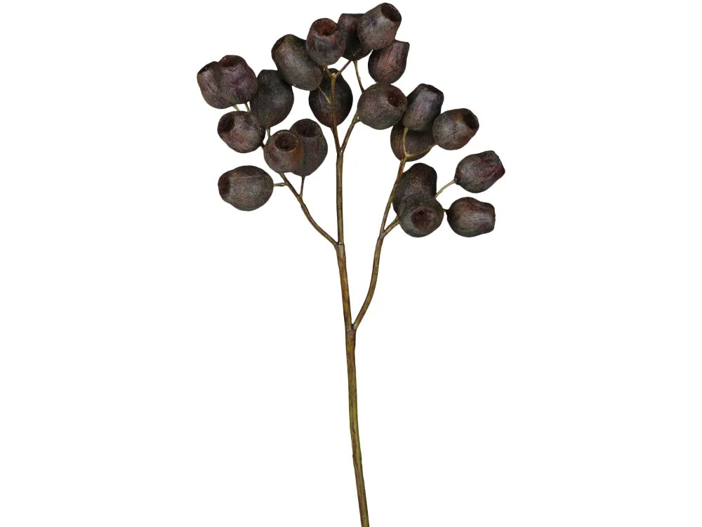 Chic Antuque - Fleur Branch with seed pods