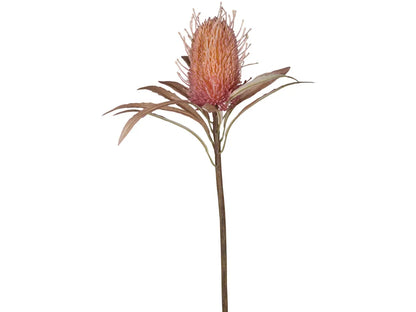 Chic Antuque - Fleur Protea Flower