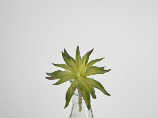 Deko Florale Grøn Sukkulent Pick 14cm