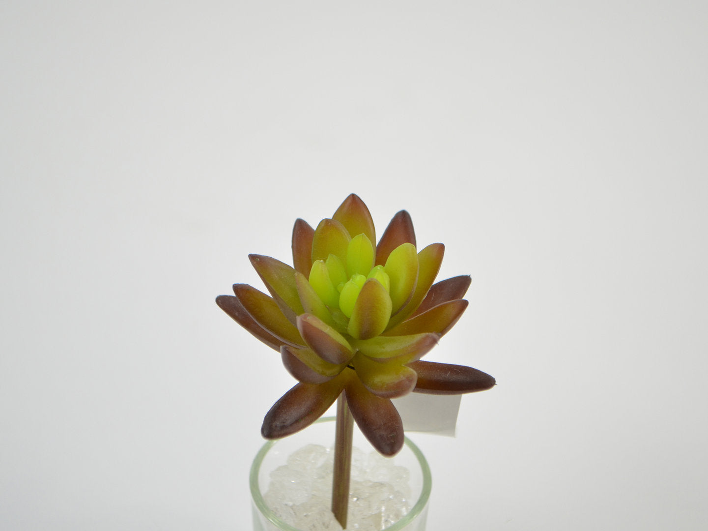 Deko Florale - Succulent pick