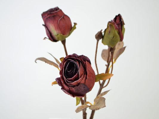 Deko Florale - Rosengren x3, 51cm, bordeaux