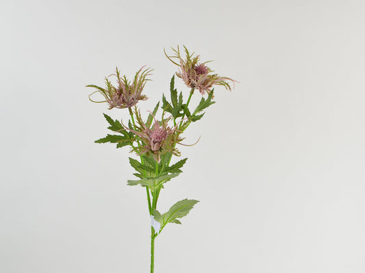 Deko Florale - Sea holly gren, 67cm, lilla