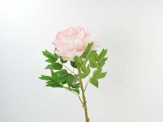 Deko Florale - Pæon-Stilk, lyserød