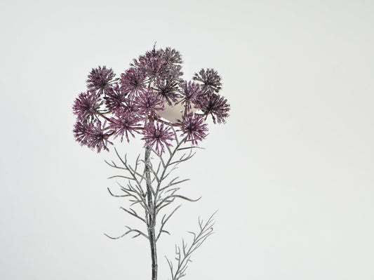 Deko Florale - Guld Allium , 67 cm, Pink