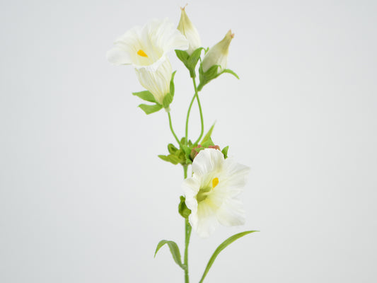 Deko Florale - Gentian gren x2, 36cm, cremefarvet