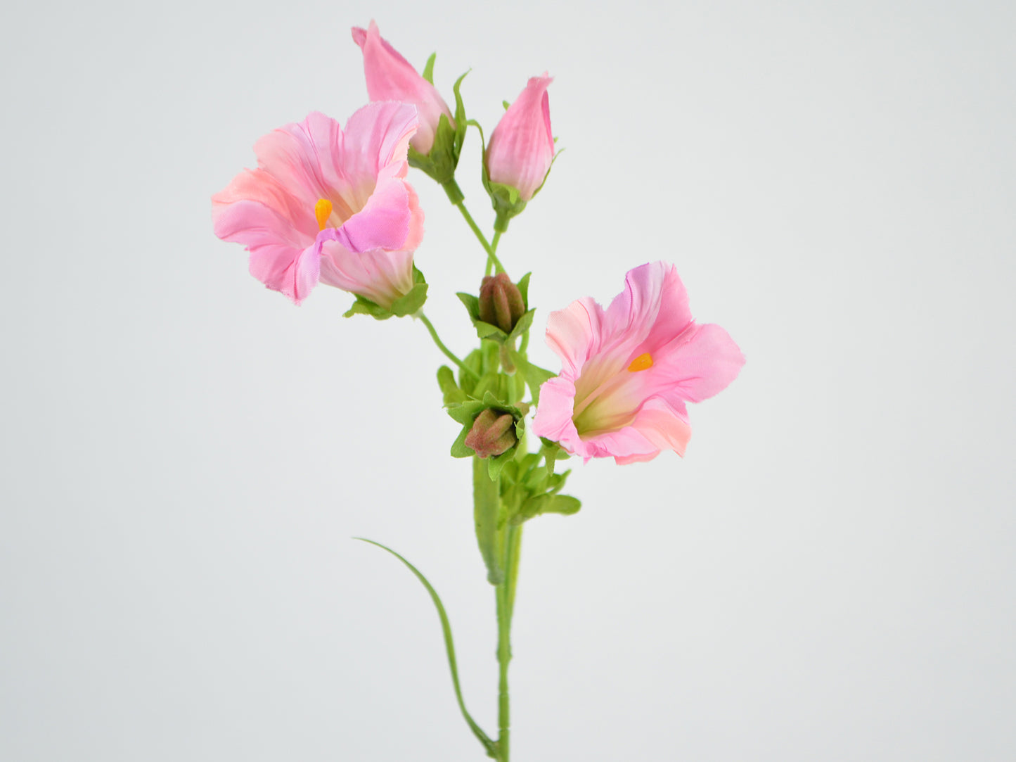 Deko Florale - Gentian gren x2, 36cm, pink