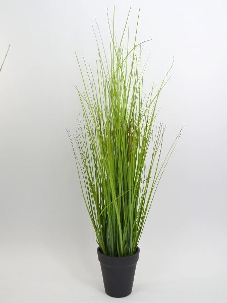 Deko Florale - Onion grass bush in pot