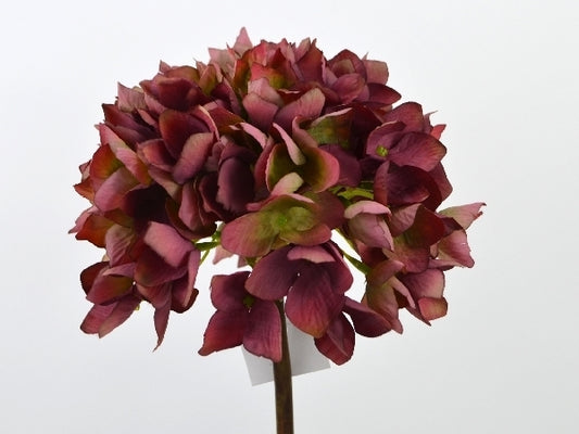 Deko Florale Bordeauxgrøn Hortensia 52cm