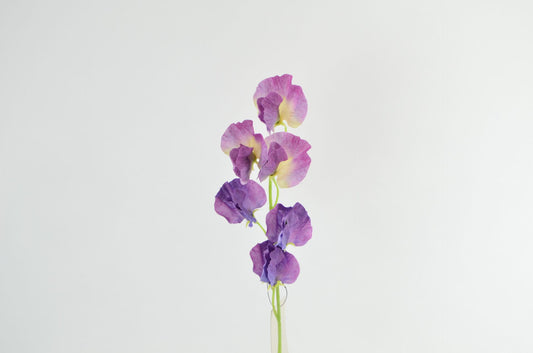 Deko Florale - Ærteblomst gren, 46cm, lavendel