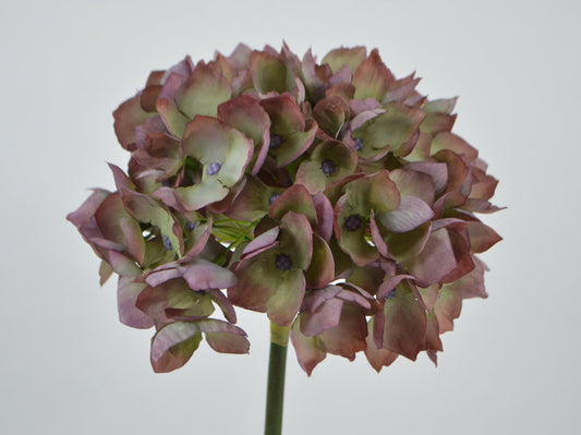 Deko Florale Lilla-Grøn Hortensia 47cm