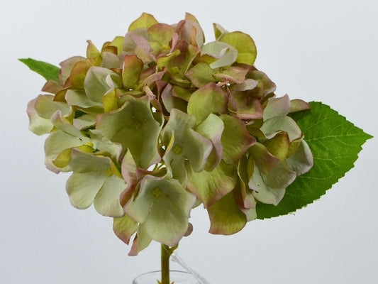 Decorative Floral Grey-green Hydrangea 33cm