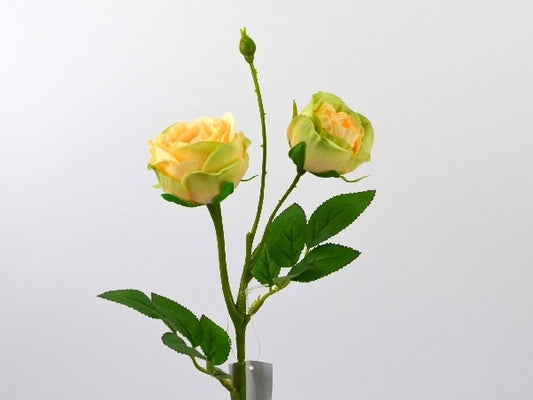 Deko Florale - Kålhoved Rose