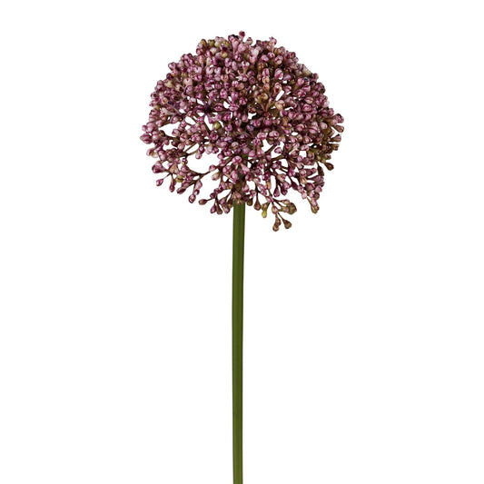 Barbara - Allium purple 3 pcs.