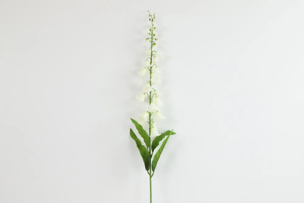 Barbara - Klokkeblomst Hvid, Højde 96 cm
