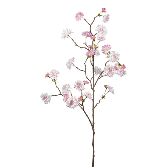 Barbara - Cherry branch pink