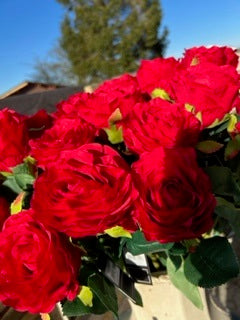 Barbara - Rose rød